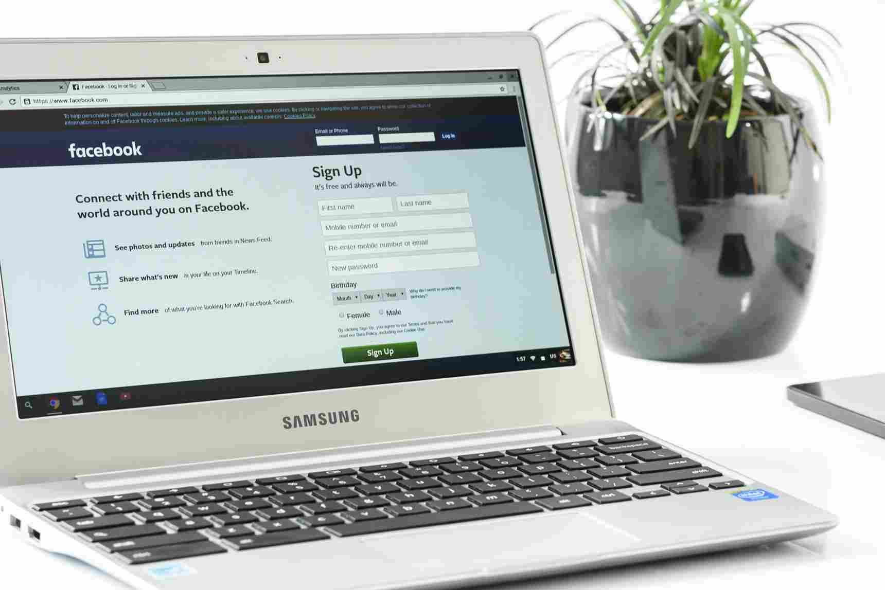 I will set up and manage high-converting Facebook Ads for your brand