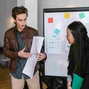 I will write a professional business plan for funding or strategy