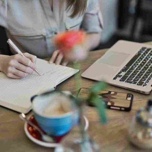 I will write SEO blog posts and articles to grow your traffic