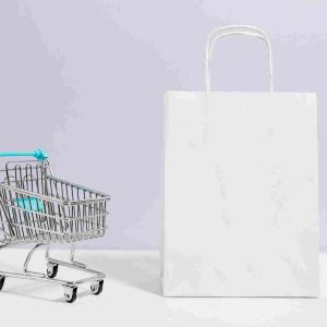 I will boost your e-commerce sales with smart paid ads & strategy
