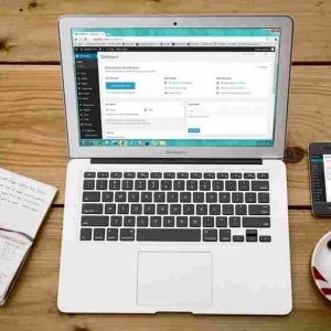 I will build a professional business website using WordPress