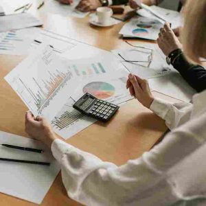 I will prepare financial statements and reports for your business