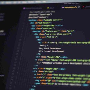 I will develop or fix your Laravel web application with custom backend