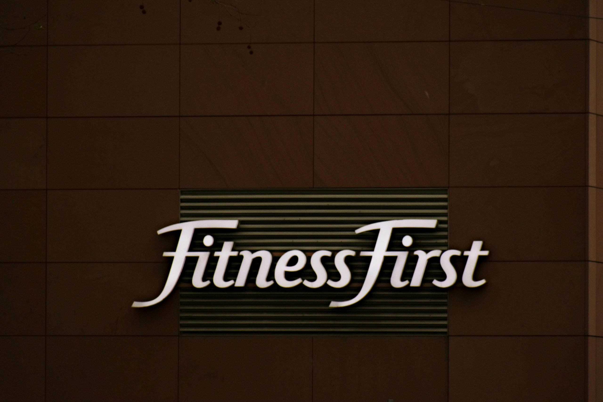 I will design a professional logo for your brand